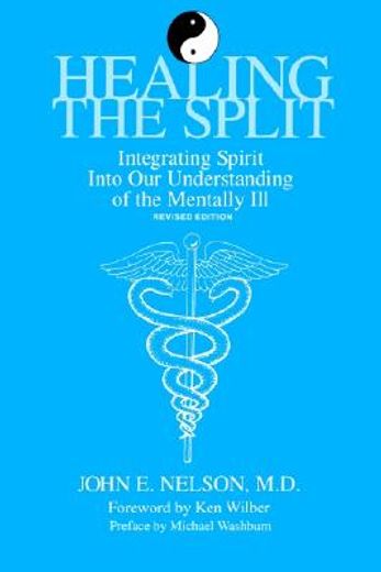 healing the split,integrating spirit into our understanding of the mentally ill