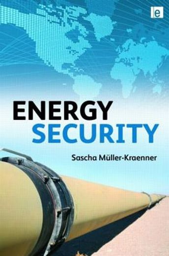 energy security,re-measuring the world