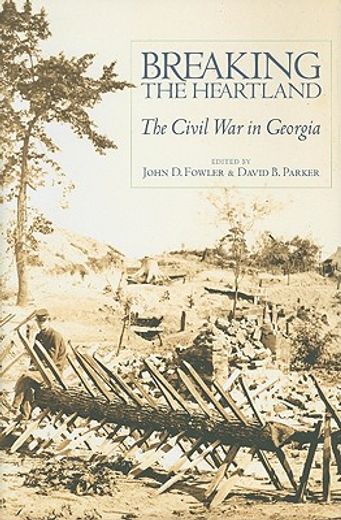 breaking the heartland,the civil war in georgia