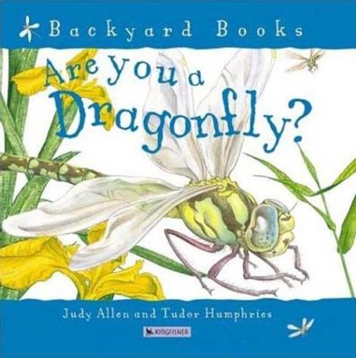 are you a dragonfly? (en Inglés)