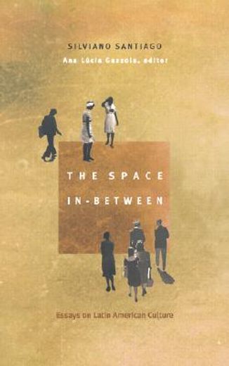 the space in-between,essays on latin american culture