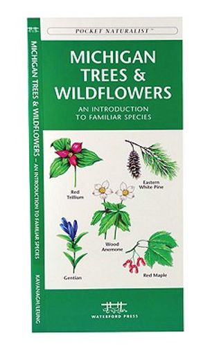 michigan trees & wildflowers,an introduction to familiar species (en Inglés)