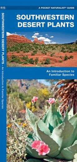 southwestern desert plants,an introduction to familiar species