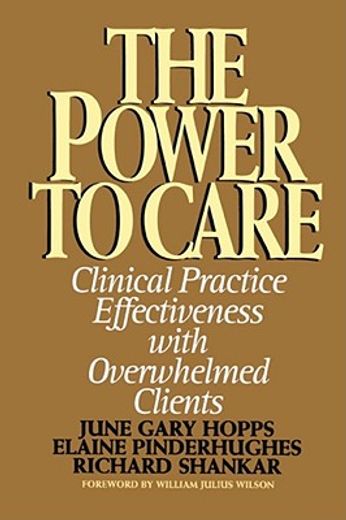 the power to care,clinical practice effectiveness with overwhelmed clients