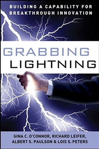 grabbing lightning,building a capability for breakthrough innovation (in English)
