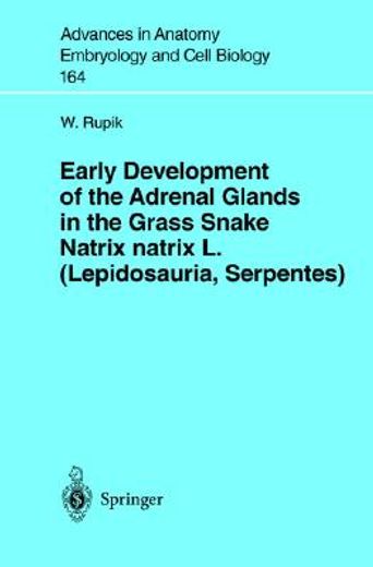 early development of the adrenal glands in grass snake natrix natrix l. (lepidosauria, serpentes) (en Inglés)