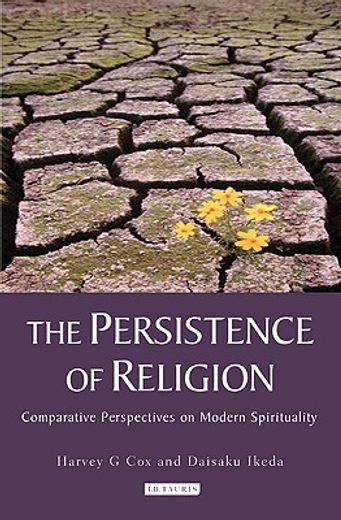 the persistence of religion,comparitive perspectives on modern spirituality