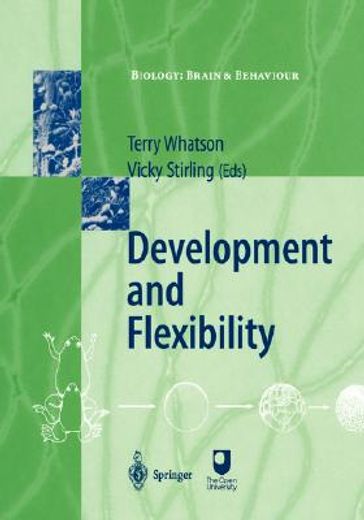 development and flexibility (en Inglés)