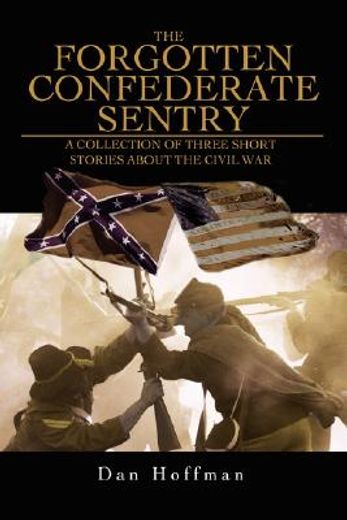 forgotten confederate sentry