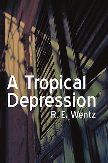 a tropical depression