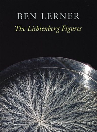the lichtenberg figures