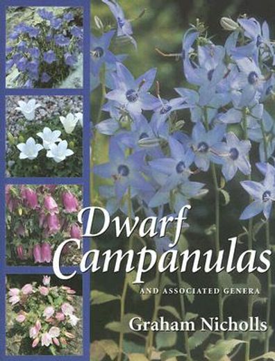dwarf campanulas, and associated genera