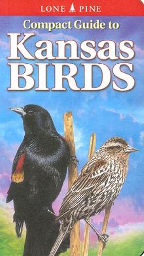 compact guide to kansas birds (en Inglés)