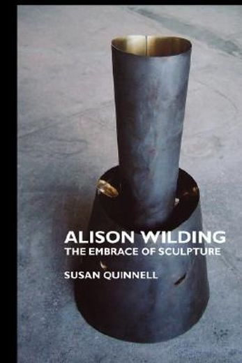 alison wilding: the embrace of sculpture