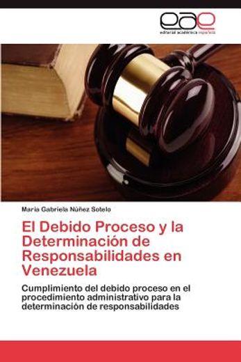 el debido proceso y la determinaci n de responsabilidades en venezuela (in Spanish)