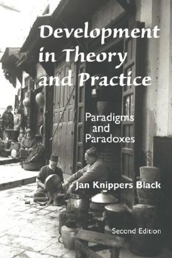development in theory and practice,paradigms and paradoxes