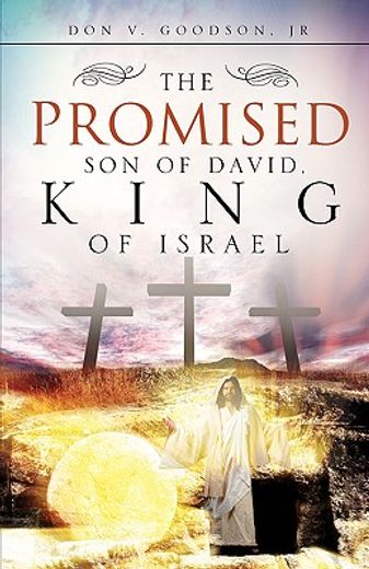 the promised son of david, king of israel