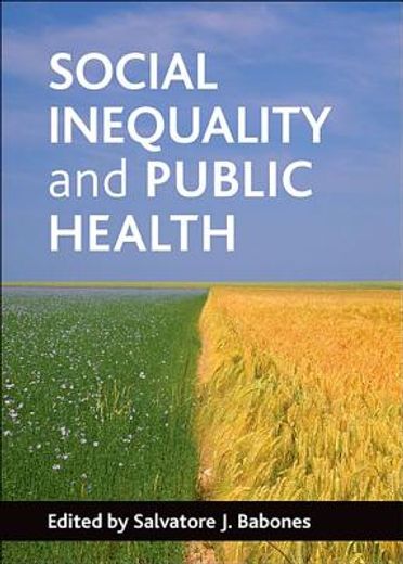 social inequality and public health