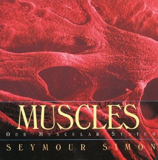 muscles,our muscular system