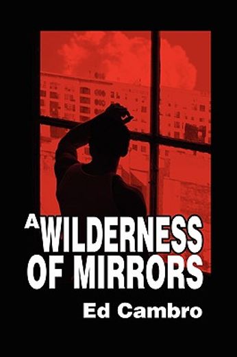 wilderness of mirrors