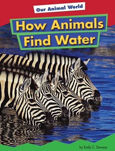 how animals find water