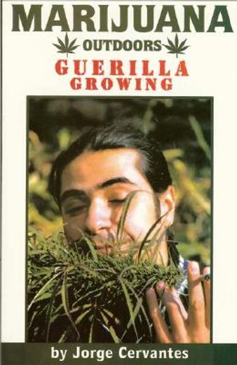 marijuana outdoors,guerilla growing