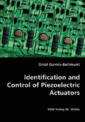 identification and control of piezoelectric actuators