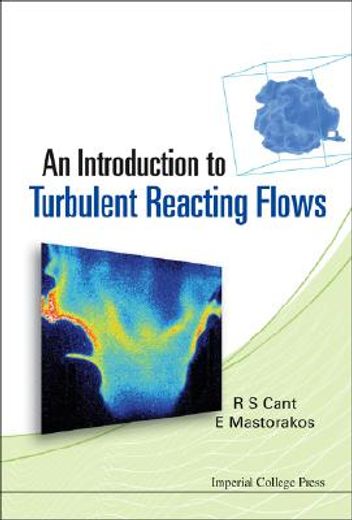 an introduction to turbulent reacting flows