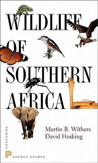 wildlife of southern africa (en Inglés)