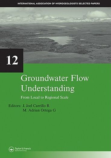 groundwater flow understanding,from local to regional scale
