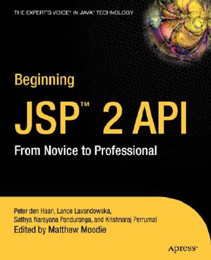 beginning jsp 2 (en Inglés)