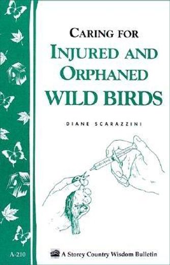 helping orphaned or injured wild birds