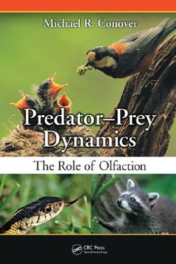 predator-prey dynamics,the role of olfaction
