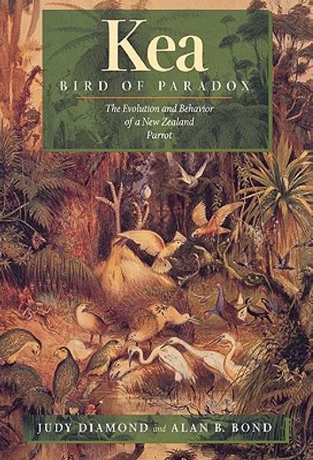 kea, bird of paradox,the evolution and behavior of a new zealand parrot