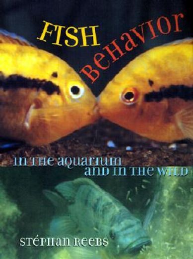 fish behavior in the aquarium and in the wild