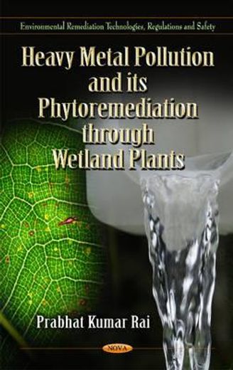 heavy metal pollution and its phytormediation through wetland plants