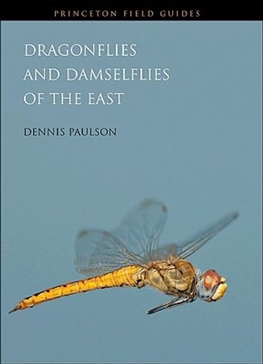 dragonflies and damselflies of the east (en Inglés)