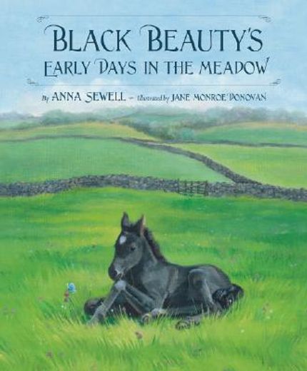 black beauty´s early days in the meadow
