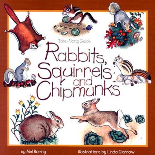 rabbits, squirrels and chipmunks (en Inglés)