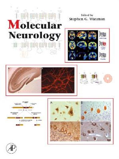 molecular neurology