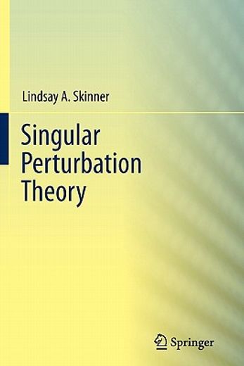 singular perturbation theorgy