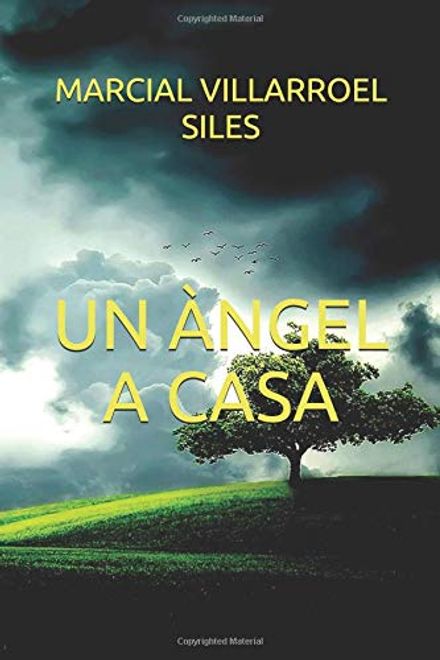 portada Un Àngel a Casa (en Catalán)