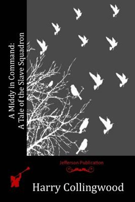 portada A Middy in Command: A Tale of the Slave Squadron (en Inglés)