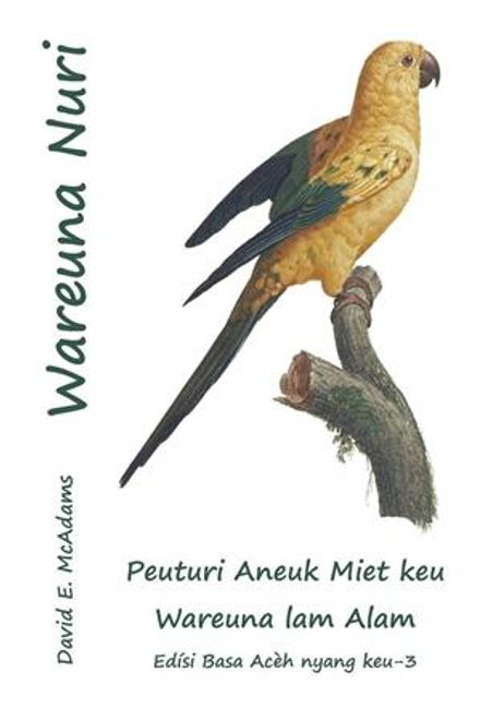 portada Wareuna Nuri