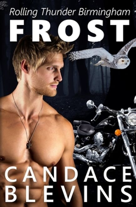 Frost (en Inglés) portada Frost (en Inglés)